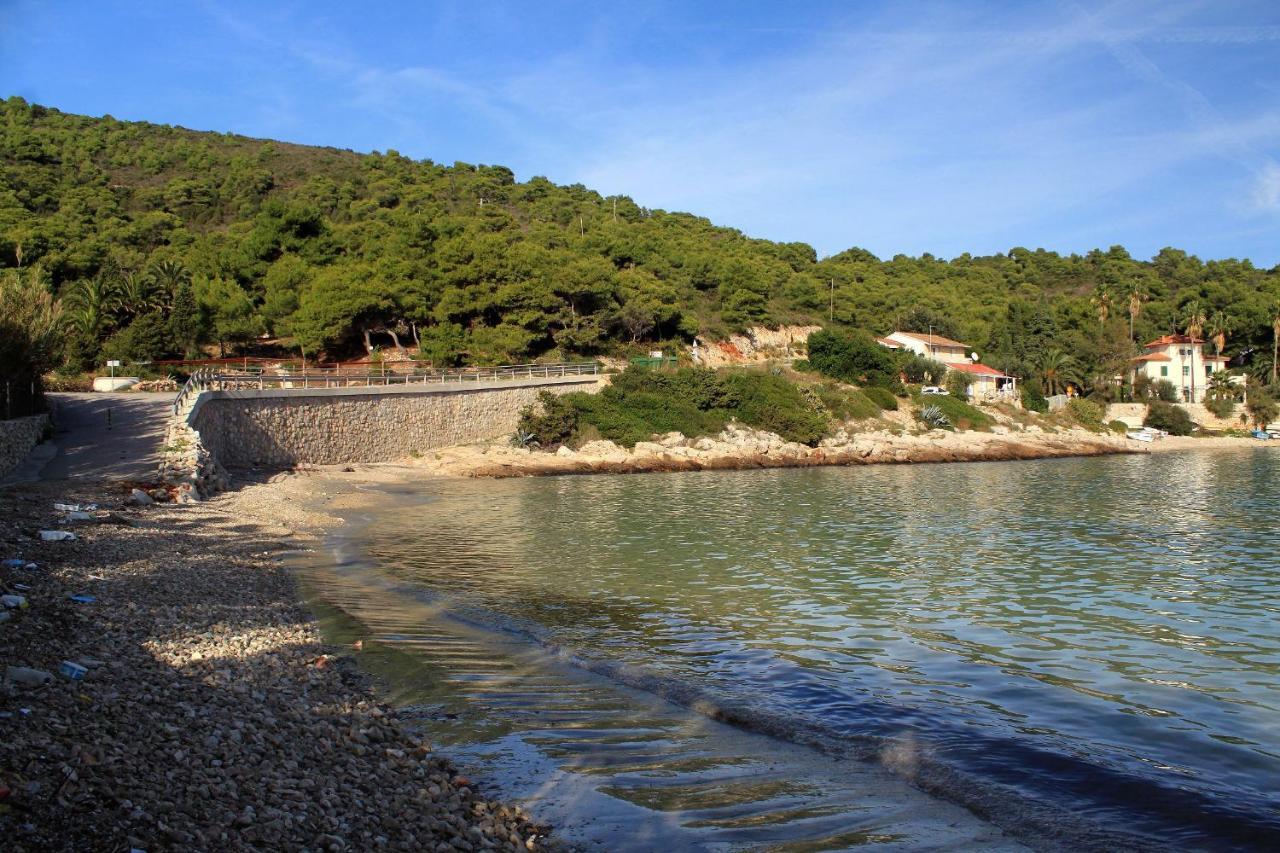 Apartments By The Sea Milna, Vis - 8946 卢卡瓦克 外观 照片